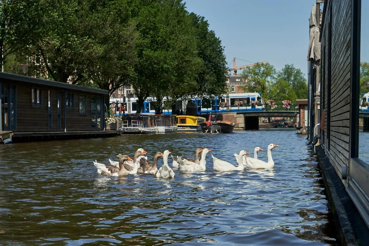 Appartamento The Amsterdam Houseboat Family - De Pijp Paesi Bassi